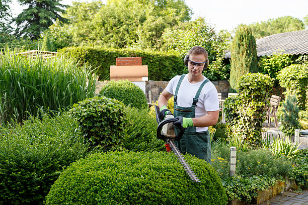 Best Mulching Services  in USA